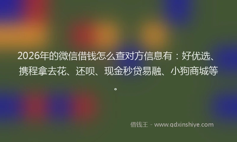 2026年的微信借钱怎么查对方信息有：好优选、携程拿去花、还呗、现金秒贷易融、小狗商城等。