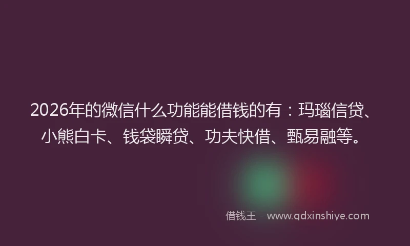 2026年的微信什么功能能借钱的有：玛瑙信贷、小熊白卡、钱袋瞬贷、功夫快借、甄易融等。
