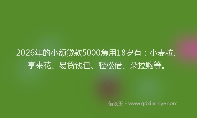 2026年的小额贷款5000急用18岁有：小麦粒、享来花、易贷钱包、轻松借、朵拉购等。