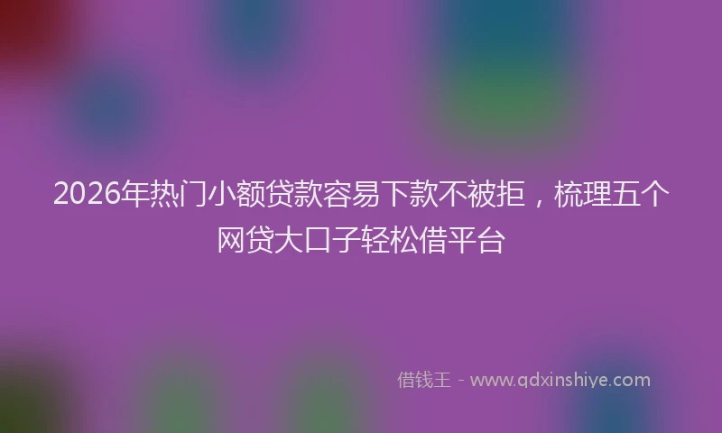 2026年热门小额贷款容易下款不被拒，梳理五个网贷大口子轻松借平台