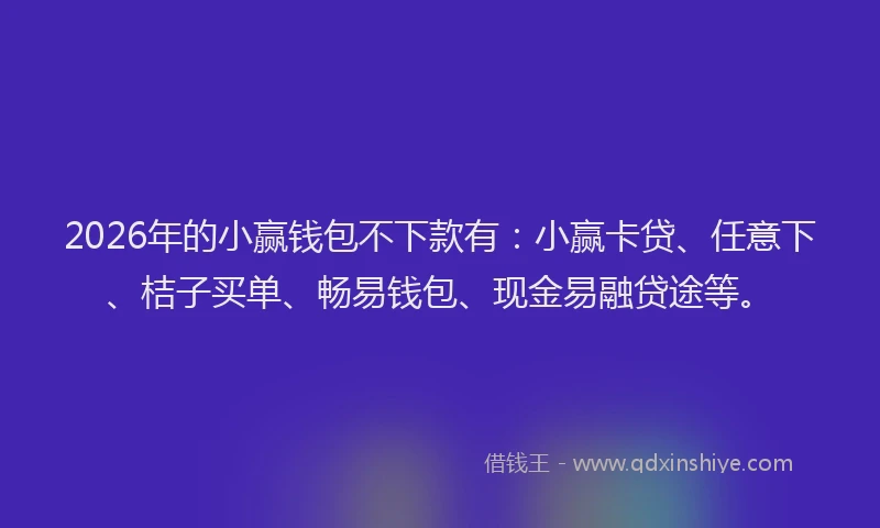 2026年的小赢钱包不下款有：小赢卡贷、任意下、桔子买单、畅易钱包、现金易融贷途等。