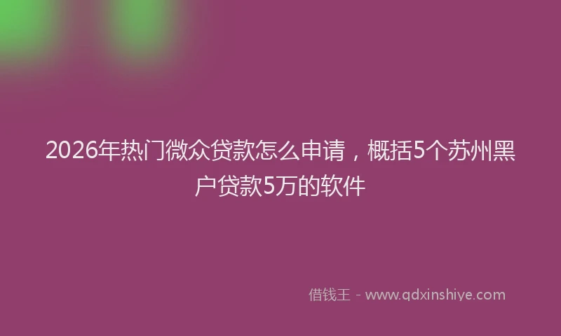 2026年热门微众贷款怎么申请，概括5个苏州黑户贷款5万的软件