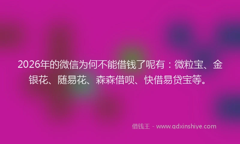 2026年的微信为何不能借钱了呢有：微粒宝、金银花、随易花、森森借呗、快借易贷宝等。