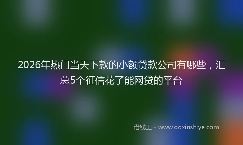 2026年热门当天下款的小额贷款公司有哪些，汇总5个征信花了能网贷的平台