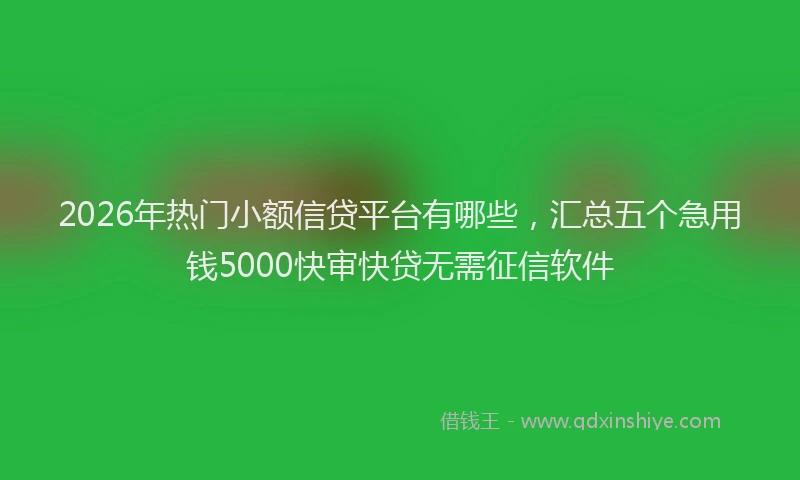 2026年热门小额信贷平台有哪些,汇总五个急用钱5000快审快贷无需征信软件
