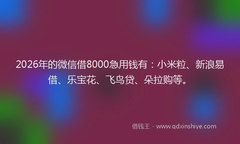 2026年的微信借8000急用钱有：小米粒、新浪易借、乐宝花、飞鸟贷、朵拉购等。