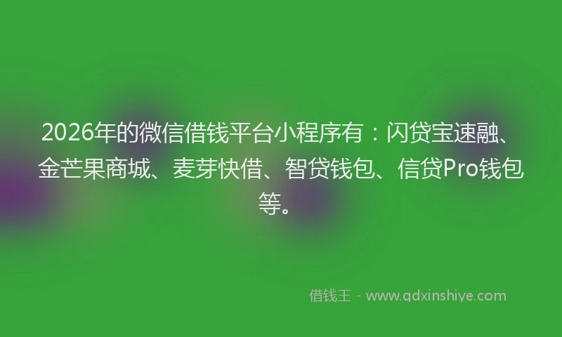 2026年的微信借钱平台小程序有：闪贷宝速融、金芒果商城、麦芽快借、智贷钱包、信贷Pro钱包等。