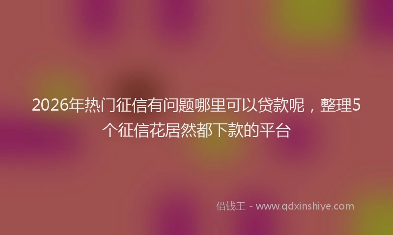 2026年热门征信有问题哪里可以贷款呢，整理5个征信花居然都下款的平台