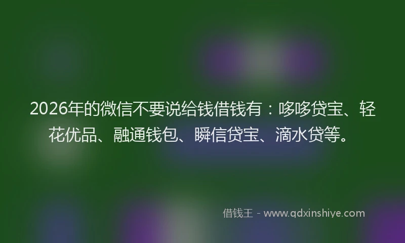 2026年的微信不要说给钱借钱有：哆哆贷宝、轻花优品、融通钱包、瞬信贷宝、滴水贷等。