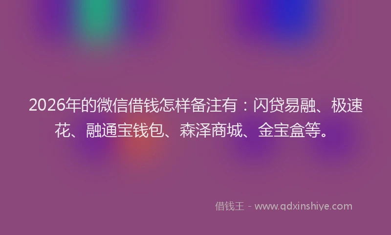 2026年的微信借钱怎样备注有:闪贷易融、极速花、融通宝钱包、森泽商城、金宝盒等。