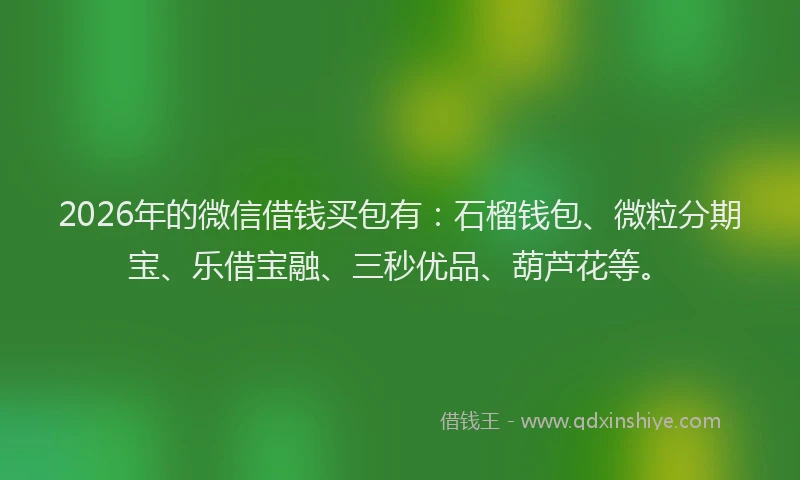 2026年的微信借钱买包有：石榴钱包、微粒分期宝、乐借宝融、三秒优品、葫芦花等。