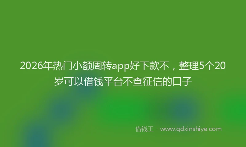 2026年热门小额周转app好下款不，整理5个20岁可以借钱平台不查征信的口子