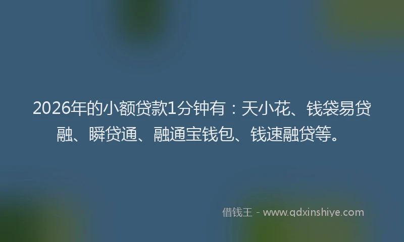 2026年的小额贷款1分钟有：天小花、钱袋易贷融、瞬贷通、融通宝钱包、钱速融贷等。