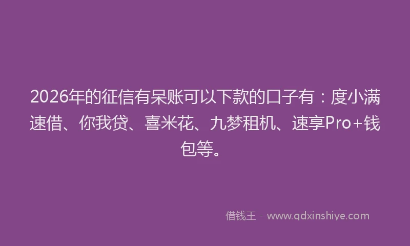 2026年的征信有呆账可以下款的口子有：度小满速借、你我贷、喜米花、九梦租机、速享Pro+钱包等。