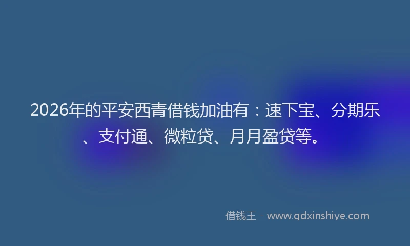 2026年的平安西青借钱加油有：速下宝、分期乐、支付通、微粒贷、月月盈贷等。