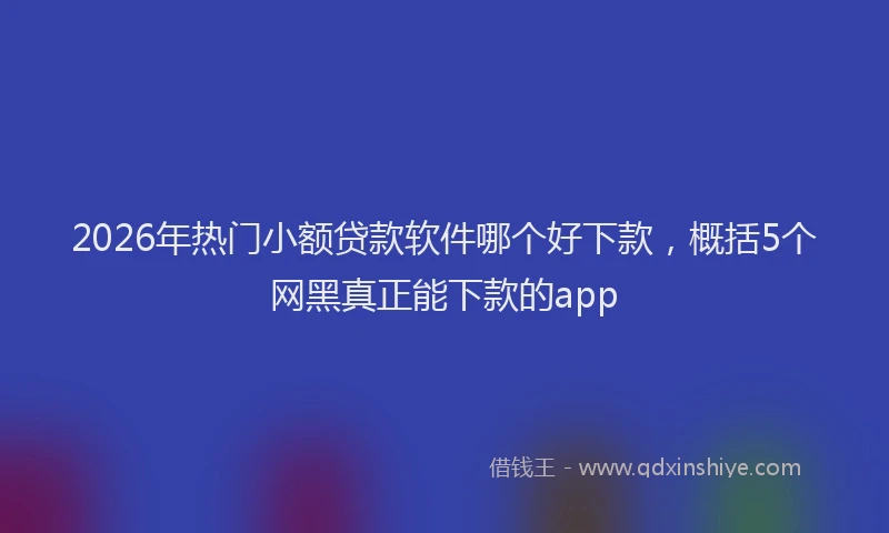 2026年热门小额贷款软件哪个好下款，概括5个网黑真正能下款的app