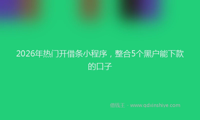 2026年热门开借条小程序，整合5个黑户能下款的口子