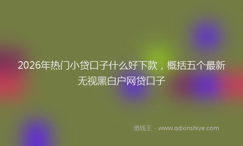 2026年热门小贷口子什么好下款，概括五个最新无视黑白户网贷口子