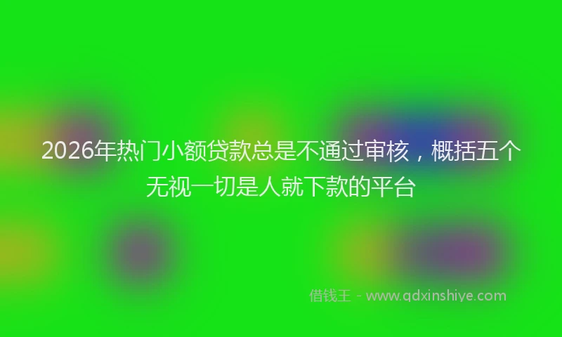 2026年热门小额贷款总是不通过审核，概括五个无视一切是人就下款的平台
