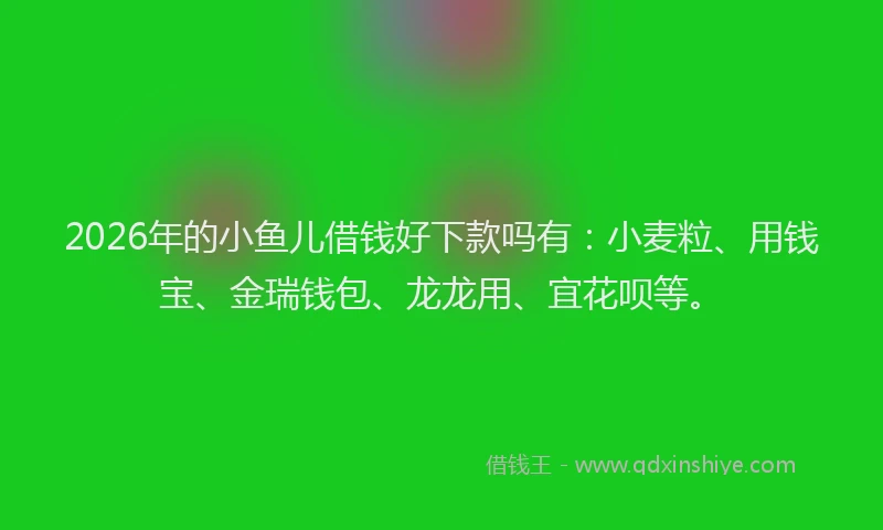2026年的小鱼儿借钱好下款吗有：小麦粒、用钱宝、金瑞钱包、龙龙用、宜花呗等。