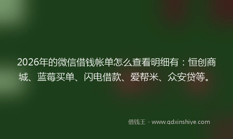 2026年的微信借钱帐单怎么查看明细有：恒创商城、蓝莓买单、闪电借款、爱帮米、众安贷等。
