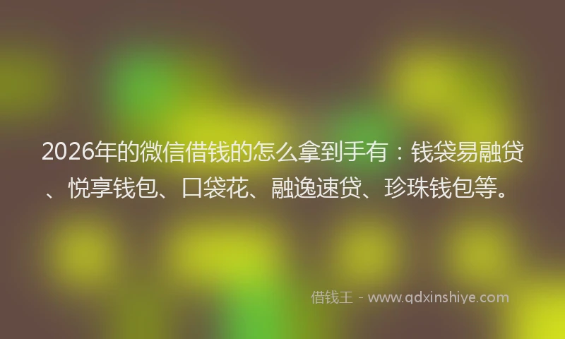 2026年的微信借钱的怎么拿到手有：钱袋易融贷、悦享钱包、口袋花、融逸速贷、珍珠钱包等。