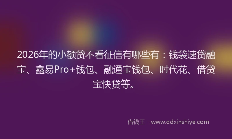 2026年的小额贷不看征信有哪些有：钱袋速贷融宝、鑫易Pro+钱包、融通宝钱包、时代花、借贷宝快贷等。