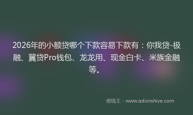 2026年的小额贷哪个下款容易下款有：你我贷-极融、翼贷Pro钱包、龙龙用、现金白卡、米族金融等。
