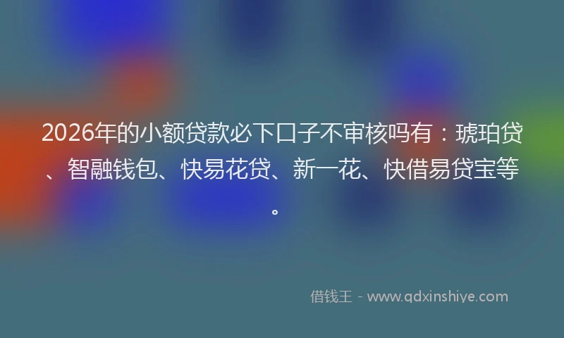 2026年的小额贷款必下口子不审核吗有:琥珀贷、智融钱包、快易花贷、新一花、快借易贷宝等。