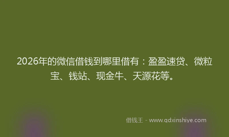 2026年的微信借钱到哪里借有：盈盈速贷、微粒宝、钱站、现金牛、天源花等。