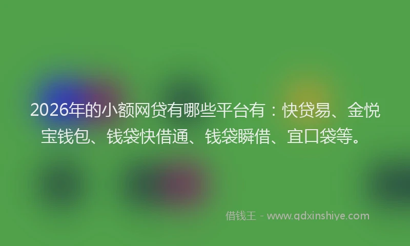 2026年的小额网贷有哪些平台有：快贷易、金悦宝钱包、钱袋快借通、钱袋瞬借、宜口袋等。