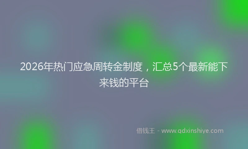 2026年热门应急周转金制度，汇总5个最新能下来钱的平台