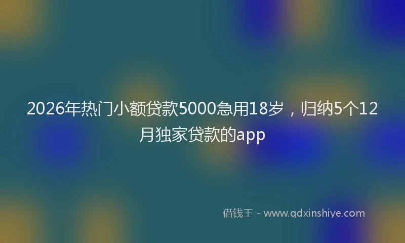 2026年热门小额贷款5000急用18岁，归纳5个12月独家贷款的app