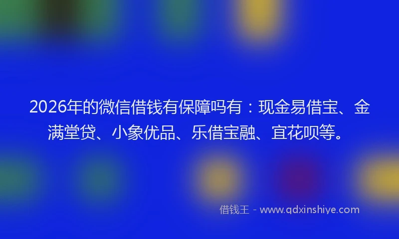 2026年的微信借钱有保障吗有：现金易借宝、金满堂贷、小象优品、乐借宝融、宜花呗等。