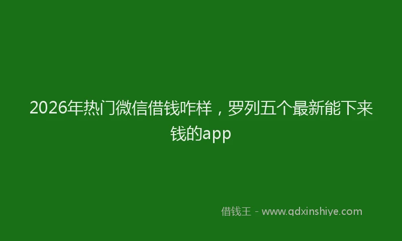 2026年热门微信借钱咋样，罗列五个最新能下来钱的app