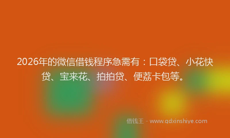 2026年的微信借钱程序急需有：口袋贷、小花快贷、宝来花、拍拍贷、便荔卡包等。
