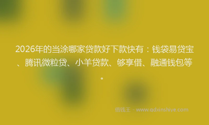 2026年的当涂哪家贷款好下款快有：钱袋易贷宝、腾讯微粒贷、小羊贷款、够享借、融通钱包等。