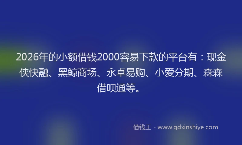 2026年的小额借钱2000容易下款的平台有：现金侠快融、黑鲸商场、永卓易购、小爱分期、森森借呗通等。