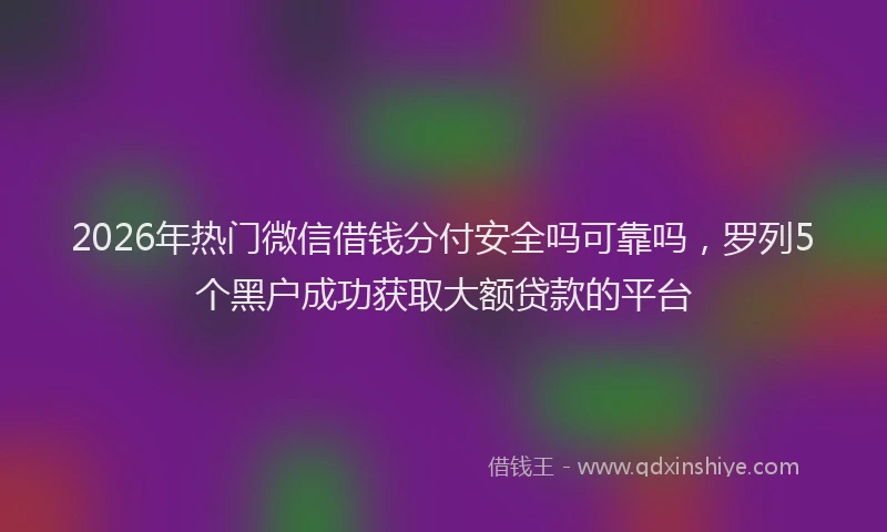 2026年热门微信借钱分付安全吗可靠吗，罗列5个黑户成功获取大额贷款的平台