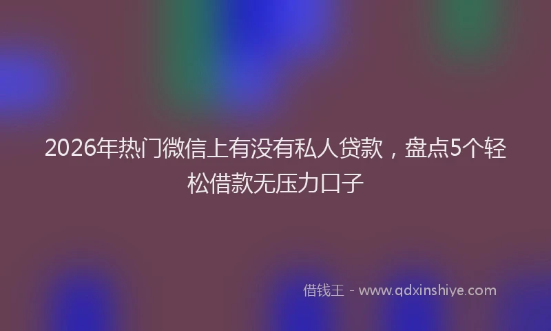 2026年热门微信上有没有私人贷款，盘点5个轻松借款无压力口子