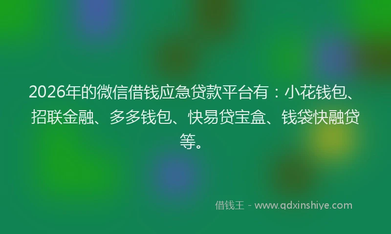2026年的微信借钱应急贷款平台有：小花钱包、招联金融、多多钱包、快易贷宝盒、钱袋快融贷等。