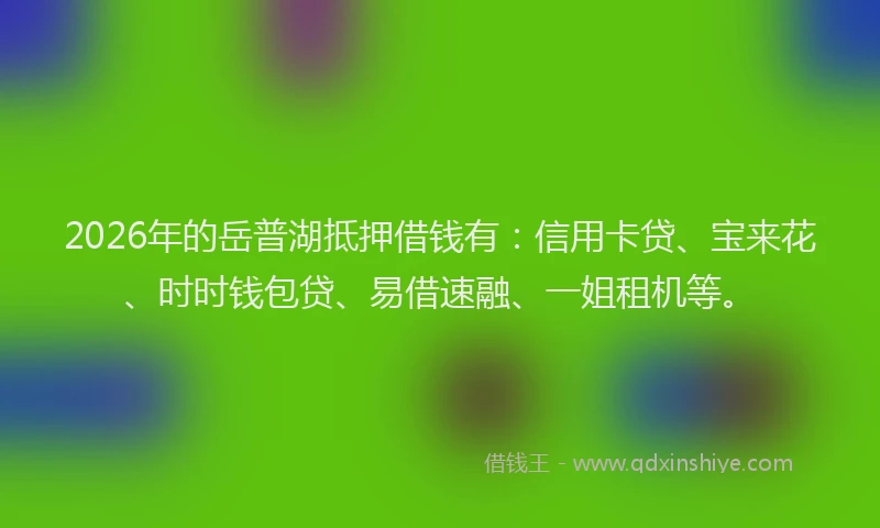 2026年的岳普湖抵押借钱有：信用卡贷、宝来花、时时钱包贷、易借速融、一姐租机等。