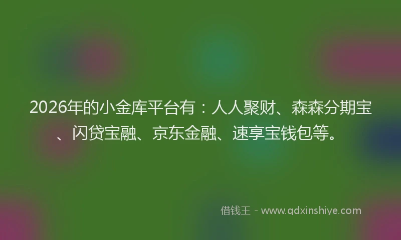 2026年的小金库平台有：人人聚财、森森分期宝、闪贷宝融、京东金融、速享宝钱包等。