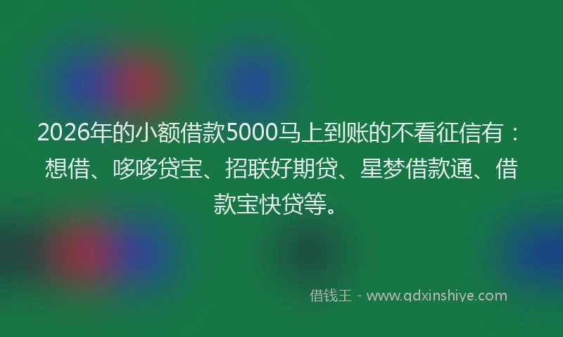 2026年的小额借款5000马上到账的不看征信有：想借、哆哆贷宝、招联好期贷、星梦借款通、借款宝快贷等。