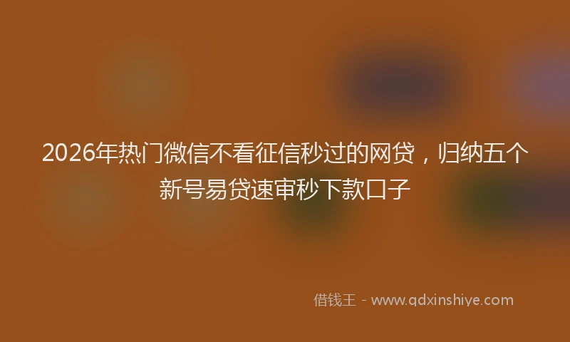 2026年热门微信不看征信秒过的网贷，归纳五个新号易贷速审秒下款口子