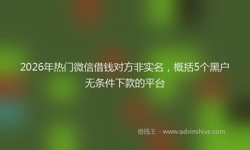 2026年热门微信借钱对方非实名，概括5个黑户无条件下款的平台