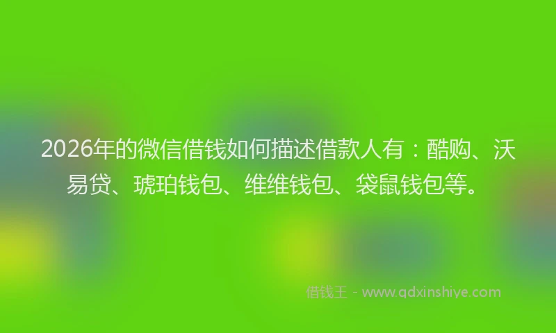 2026年的微信借钱如何描述借款人有：酷购、沃易贷、琥珀钱包、维维钱包、袋鼠钱包等。