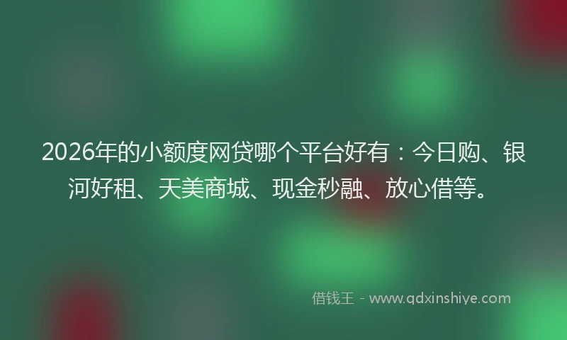 2026年的小额度网贷哪个平台好有：今日购、银河好租、天美商城、现金秒融、放心借等。