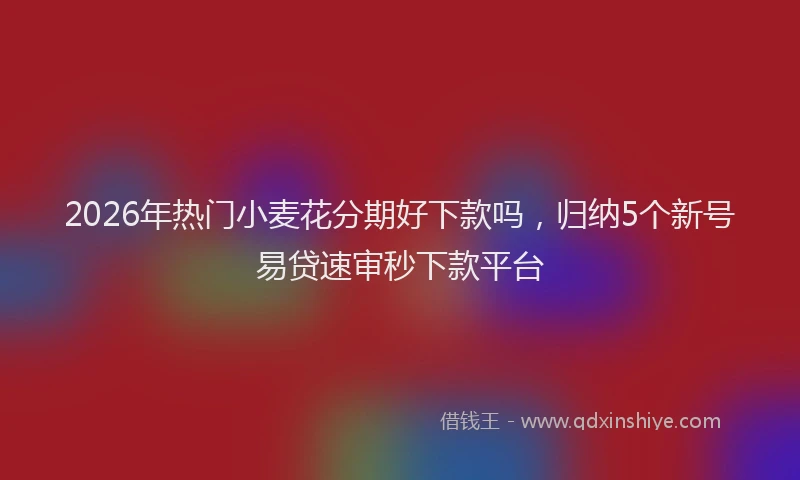 2026年热门小麦花分期好下款吗,归纳5个新号易贷速审秒下款平台