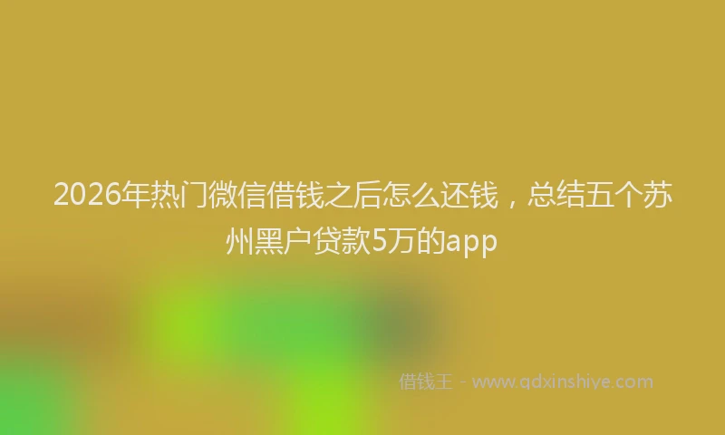 2026年热门微信借钱之后怎么还钱，总结五个苏州黑户贷款5万的app